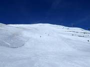 Zwarte piste Pfannspitz