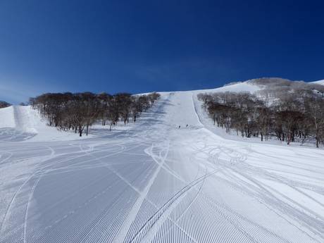 Pisteaanbod Japan – Pisteaanbod Niseko United – Annupuri/Grand Hirafu/Hanazono/Niseko Village