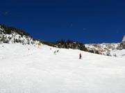 Zwarte dalafdaling Seealpe