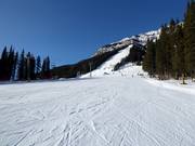 Makkelijke piste Cascade
