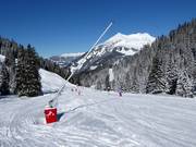 Lanzenbesneeuwing in het Novatal