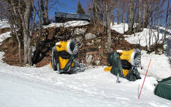 Sneeuwzekerheid Julische Alpen – Sneeuwzekerheid Vogel – Bohinj