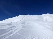 Moeilijke piste Dynamic (Grand Hirafu)