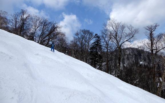 Skigebieden voor gevorderden en off-piste skiërs Prince Snow Resorts – Gevorderden, off-piste skiërs Furano