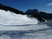 Gammeringafdaling bij de Gammeringalmen