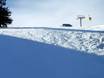 Skigebieden voor gevorderden en off-piste skiërs Zwarte Woud – Gevorderden, off-piste skiërs Belchen