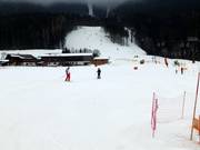 Gemakkelijke piste bij de Krallerhoflift in Leogang