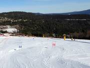 Parallelreuzenslalom voor kinderen met dubbele tijdmeting