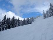 Zeer moeilijke afdalingen op de Red Mountain