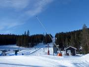 Lanzenbesneeuwing in Kläppen