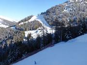 Pistes tussen Ponte di Legno en Temù