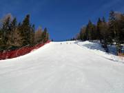 Piste Var "S" naar Vierschach