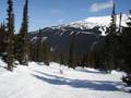 Pistes Whistler Blackcomb