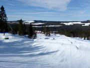 Tip voor de kleintjes 