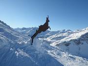 De "Gamssprung" in Schröcken