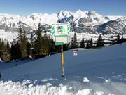 Bos wild beschermde gebieden