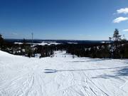 Piste 16 (Reitti Saaruaan)