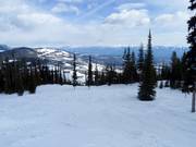 Afdaling Comet in het gebied Black Forest