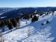 Sporen in de diepe sneeuw