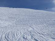 Diepsneeuw bij Metschstand