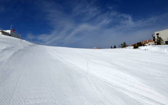 Pistepreparatie Traunsee – Pistepreparatie Feuerkogel – Ebensee