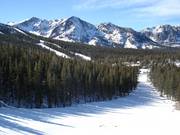 Heerlijke afdalingen door het bos op de June Mountain