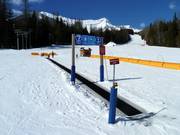 Transportband en kindergebied Mini Moose