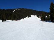 Oefengebied in Königsleiten bij de Märchenwaldlift