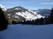 Zwarte piste bij de Karbachalmbahn