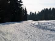 Langlaufloipe bij de Bleamlalm