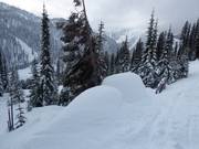 Genoeg natuursneeuw in het skigebied Whitewater