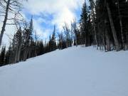 De Monster Glades dagen zelfs de echte expert uit