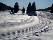 Loipe in Madonna di Campiglio