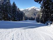 Gemakkelijke Sattelafdaling