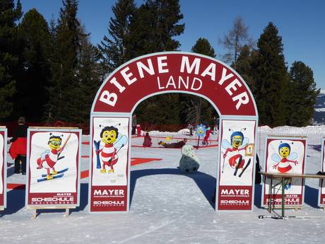 Maya-de-Bij-land van skischool Kreischberg