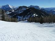 Frauenkarafdaling in het onderste gedeelte