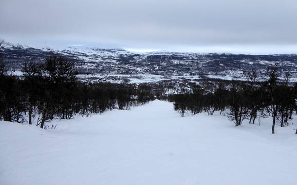 Hoogste dalstation in het Härjedalen – skigebied Tänndalsvallen