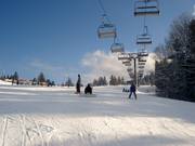 Gemakkelijke afdaling bij de Adlersesselbahn