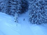 Langlaufloipe in de Lenzerheide