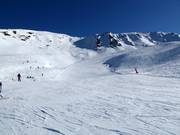 Moeilijke piste Faucons