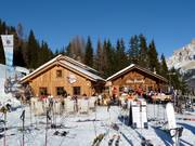 Horeca tip Ütia Bamby