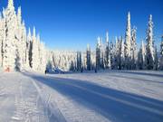 Gemakkelijke piste Cahilty