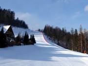 Dalafdaling Szczyrkowska