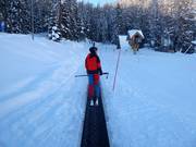 Tovermat Gallisch Skidorp