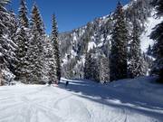 Piste 24 in het Novatal