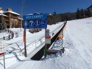 Red Carpet - Transportband