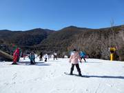 Beginnerspiste Easy Does It in het gebied Friday Flat