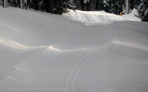 Langlaufen Silberregion Karwendel – Langlaufen Kellerjoch – Schwaz