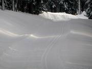 Langlaufloipe bij Grafenast