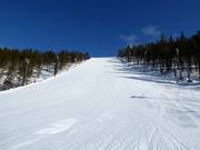 Worldcup afdaling G.2